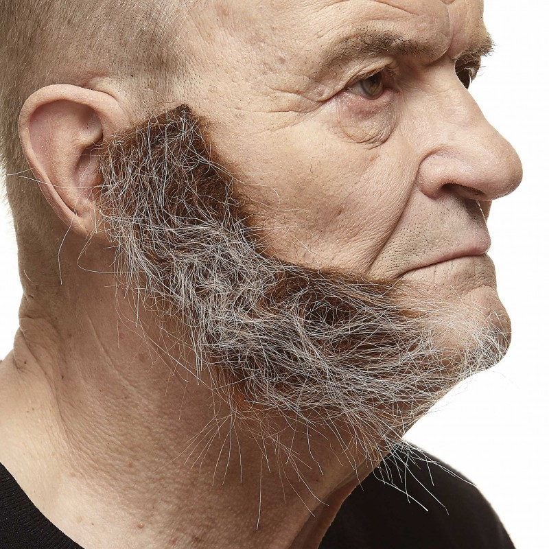 Sideburns, brown and gray