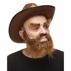 Mustache, beard and eyebrows, brown