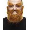 Mustache, beard and eyebrows, ginger