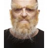 Mustache, beard and eyebrows, blond
