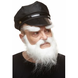Mustache, beard and eyebrows, white