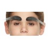 Eyebrows for Kids, salt and pepper