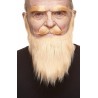 Mustache, beard and eyebrows, blond