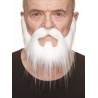 Mustache and beard, white