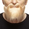 Mustache and beard, blond